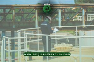 Non Destructive Inspection - Storage Tank Inspection Australia - Origin Endeavours